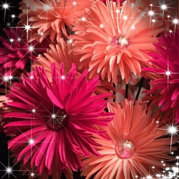 Meet your Posher, Nlaschoen - Picture 1 of 1